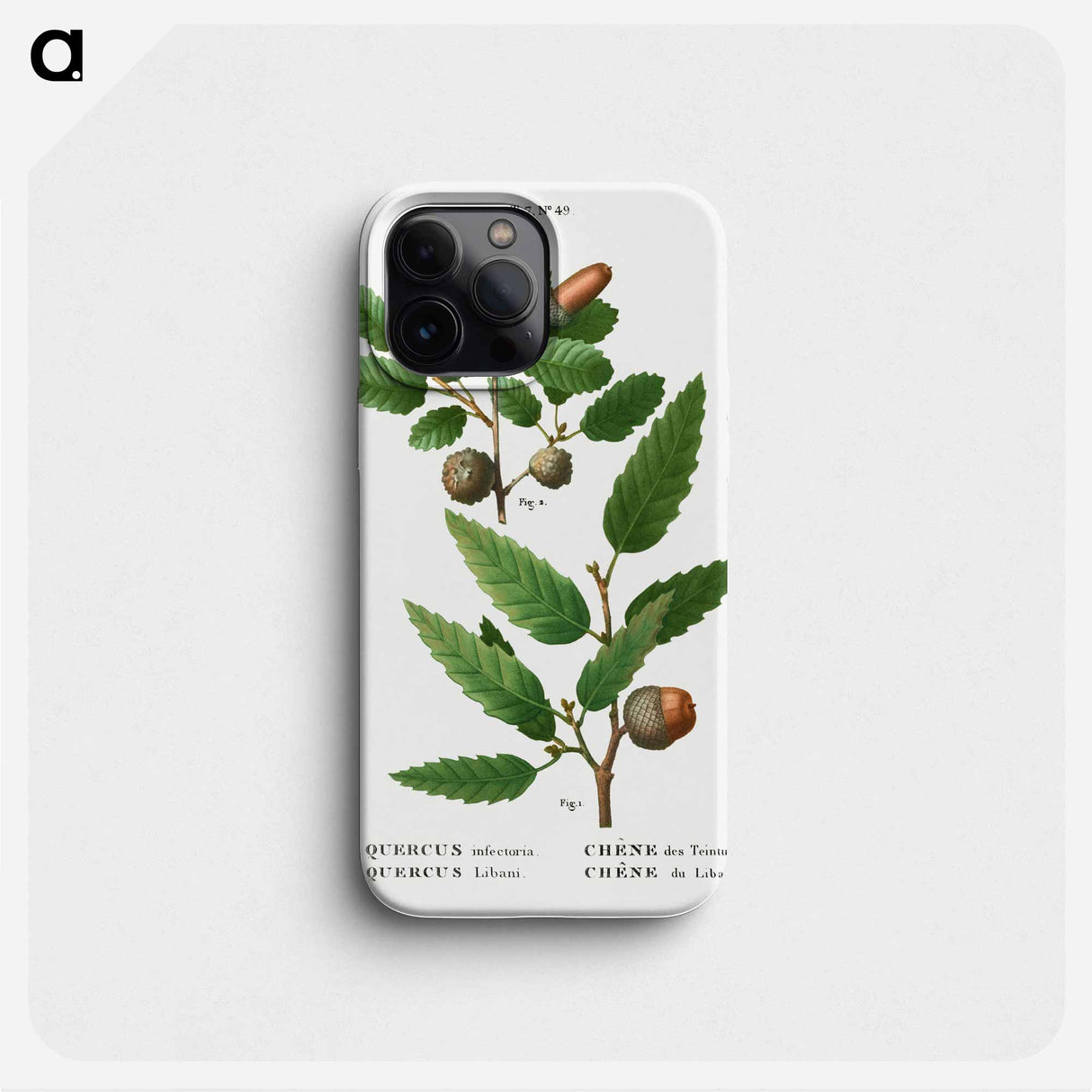 Aleppo oak, Quercus infectoria 2. Lebanon oak, Quercus Libani from Traité des Arbres et Arbustes que l'on cultive en France en pleine terre - ピエール ジョゼフ ルドゥーテ Phone Case.