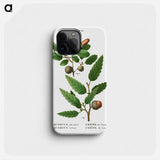 Aleppo oak, Quercus infectoria 2. Lebanon oak, Quercus Libani from the traits of arbres and arbustes that are a cultivar in France on plain land - Pierre-Joseph Redouté Phone Case.