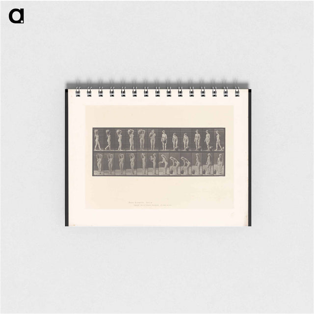 アートメモ帳-Woman with Barrel
 - エドワード マイブリッジ Memo.
