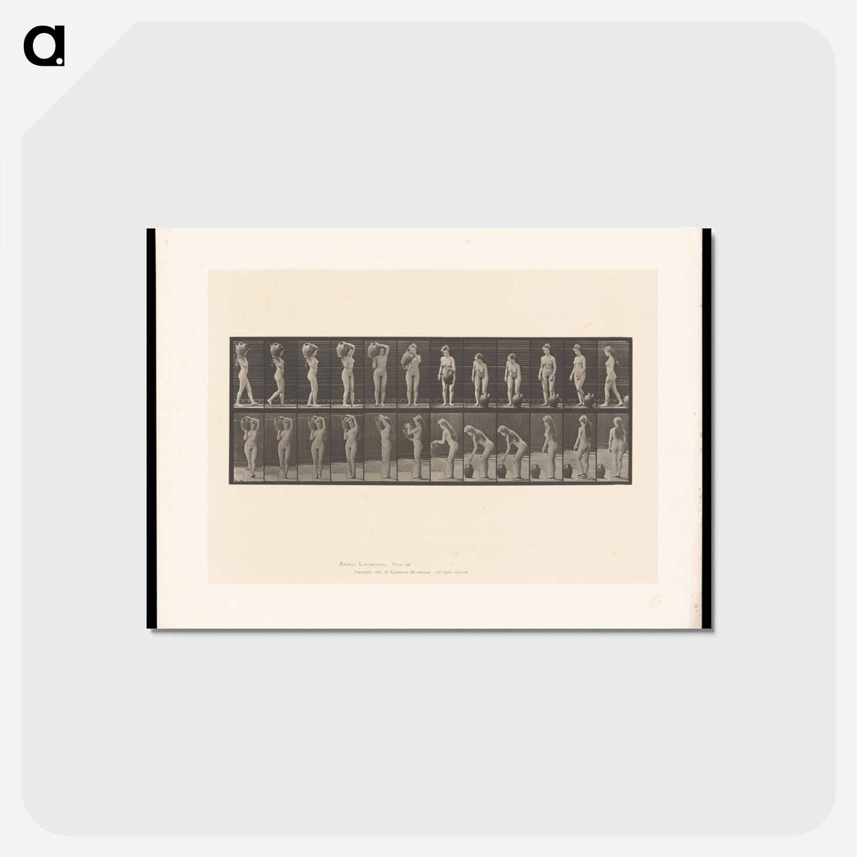 アートポストカード-Woman with Barrel
 - エドワード マイブリッジ Postcard.