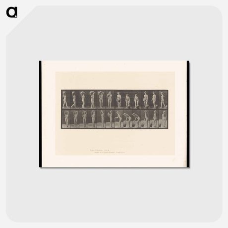 アートポストカード-Woman with Barrel
 - エドワード マイブリッジ Postcard.