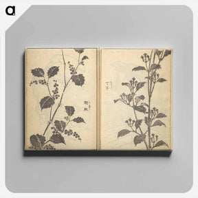 アートパネル-Pages from the New Illustrated Edition of 'Tales of the Water Margin’ - 葛飾 北斎 Canvas.