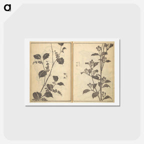 アートポストカード-Pages from the New Illustrated Edition of 'Tales of the Water Margin’ - 葛飾 北斎 Postcard.
