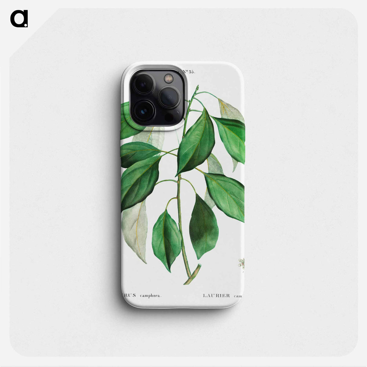 Camphor tree - ピエール ジョゼフ ルドゥーテ Phone Case.