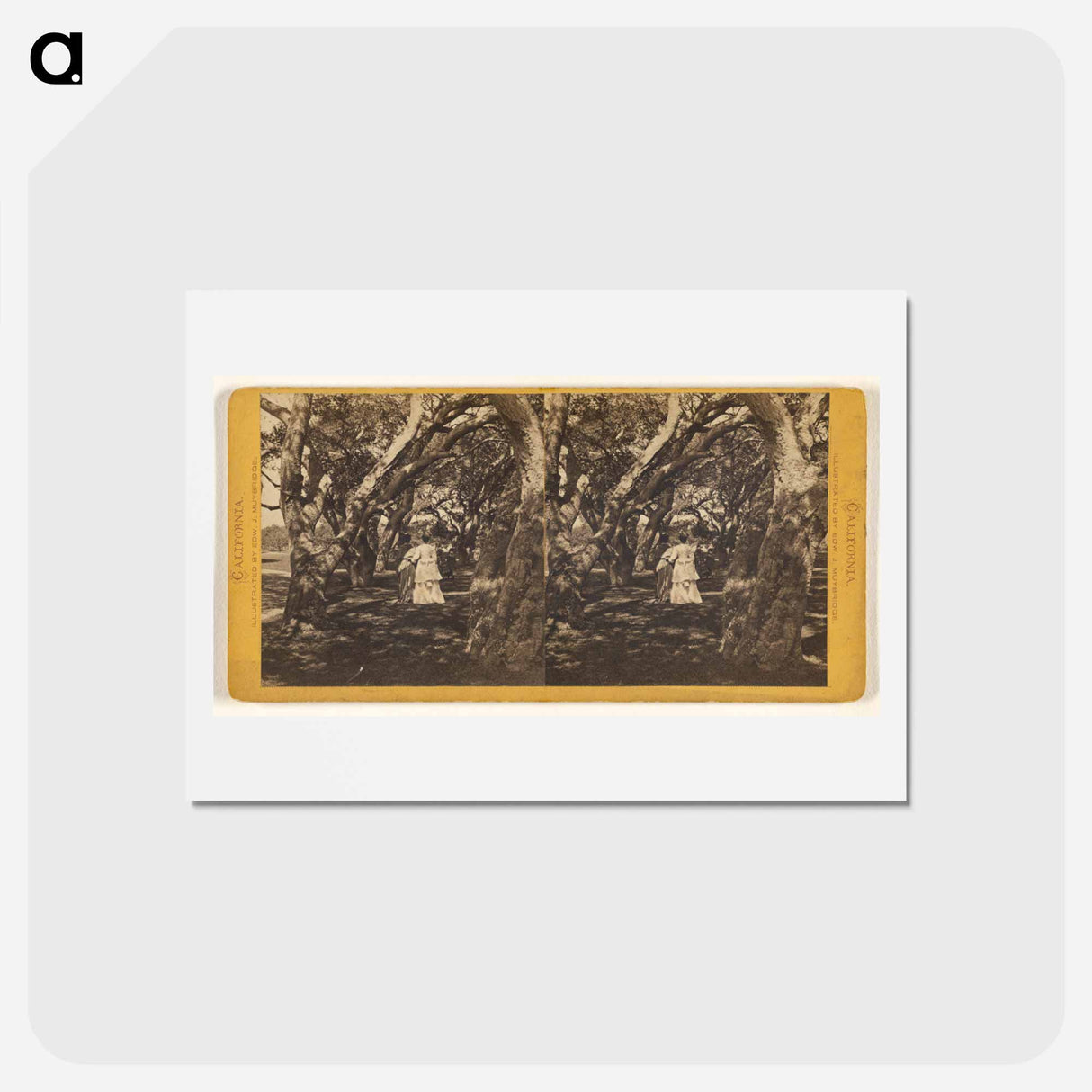 アートポストカード-Two Women and Two Girls
 - エドワード マイブリッジ Postcard.