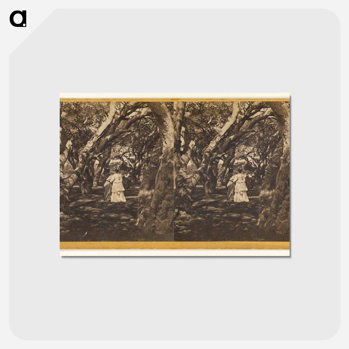 アートポストカード-Two Women and Two Girls
 - エドワード マイブリッジ Postcard.