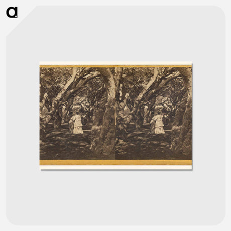 アートポストカード-Two Women and Two Girls
 - エドワード マイブリッジ Postcard.