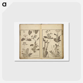 アートポストカード-Tales of the Water Margin - 葛飾 北斎 Postcard.