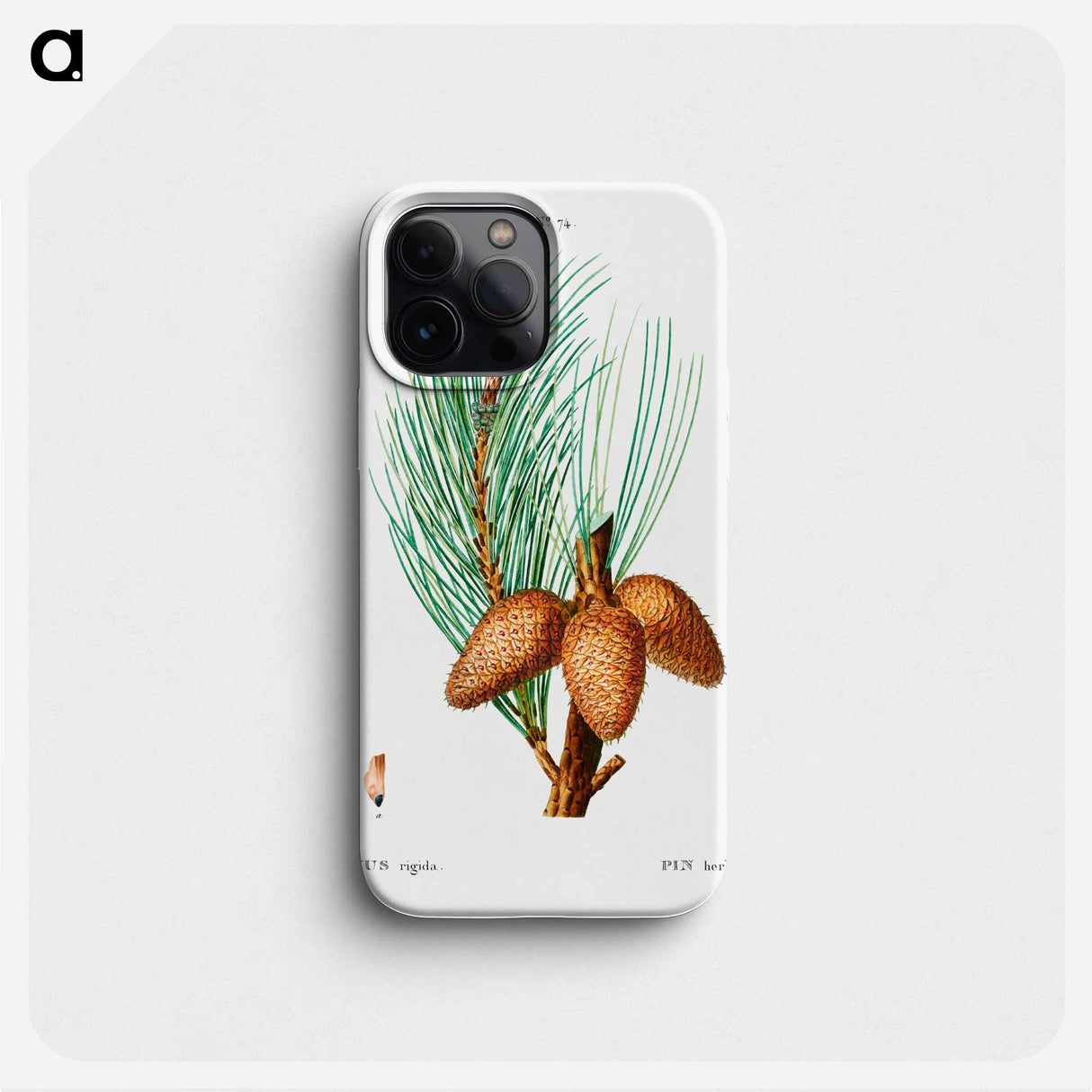 Pitch pine - Pierre Joseph Redouté Phone Case.