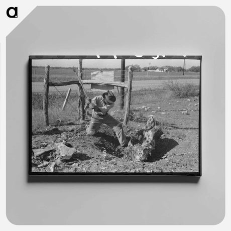 アートパネル-Picking Up Pecans
 - ラッセル リー Canvas.