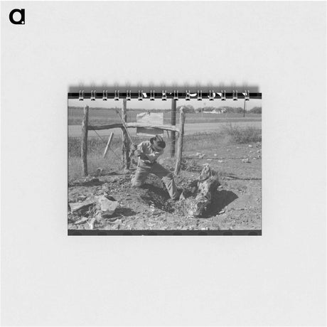 アートメモ帳-Picking Up Pecans
 - ラッセル リー Memo.