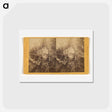 アートポストカード-Yosemite Studies
 - エドワード マイブリッジ Postcard.