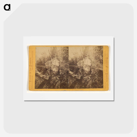 アートポストカード-Yosemite Studies
 - エドワード マイブリッジ Postcard.