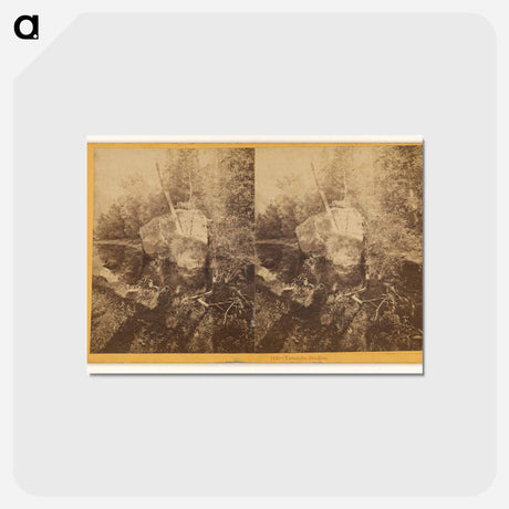 アートポストカード-Yosemite Studies
 - エドワード マイブリッジ Postcard.