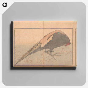アートパネル-The Illustrated Book of Glories of China and Japan - 葛飾 北斎 Canvas.