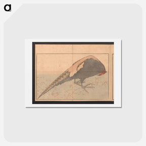 アートポストカード-The Illustrated Book of Glories of China and Japan - 葛飾 北斎 Postcard.