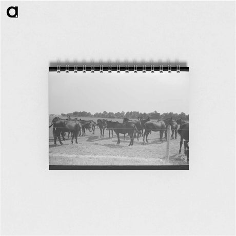 アートメモ帳-Wheat Fields, Walla Walla County
 - ラッセル リー Memo.