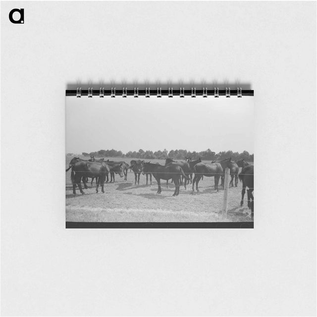アートメモ帳-Wheat Fields, Walla Walla County
 - ラッセル リー Memo.