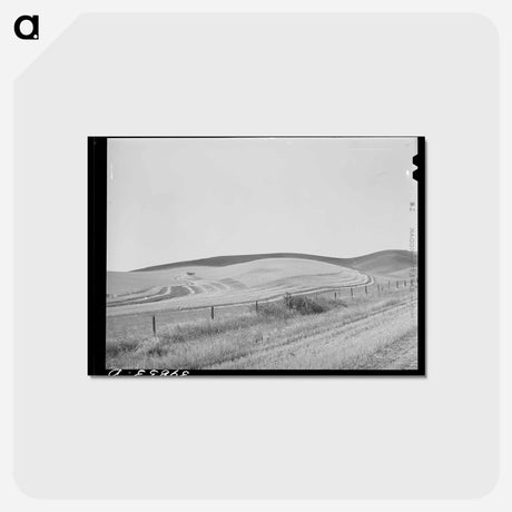 アートポストカード-Wheat Fields, Walla Walla County
 - ラッセル リー Postcard.