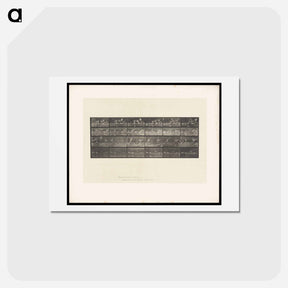 アートポストカード-Swans and Storks
 - エドワード マイブリッジ Postcard.