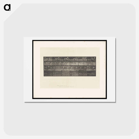 アートポストカード-Swans and Storks
 - エドワード マイブリッジ Postcard.