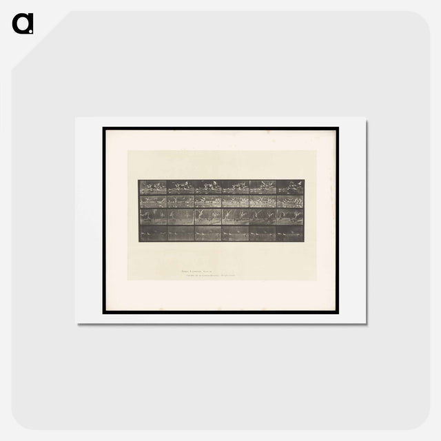 アートポストカード-Swans and Storks
 - エドワード マイブリッジ Postcard.