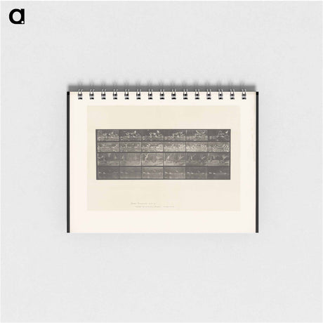 アートメモ帳-Swans and Storks
 - エドワード マイブリッジ Memo.