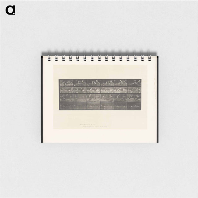 アートメモ帳-Swans and Storks
 - エドワード マイブリッジ Memo.