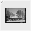 アートポストカード-Central Valley Shopping Center
 - ラッセル リー Postcard.