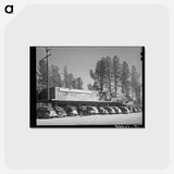 アートポストカード-Central Valley Shopping Center
 - ラッセル リー Postcard.