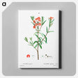 アートパネル-Kalmia glauca (Kalmia glauque) - ピエール ジョゼフ ルドゥーテ Canvas.
