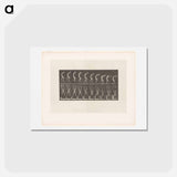 アートポストカード-Handstand
 - エドワード マイブリッジ Postcard.