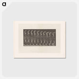 アートポストカード-Handstand
 - エドワード マイブリッジ Postcard.