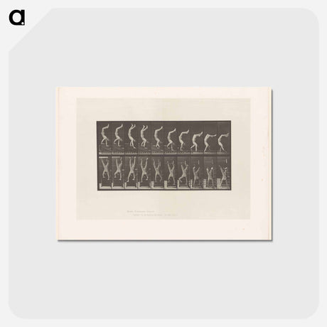 アートポストカード-Handstand
 - エドワード マイブリッジ Postcard.