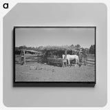 アートパネル-Barn of Sharecropper
 - ラッセル リー Canvas.