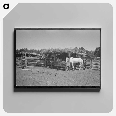 アートパネル-Barn of Sharecropper
 - ラッセル リー Canvas.