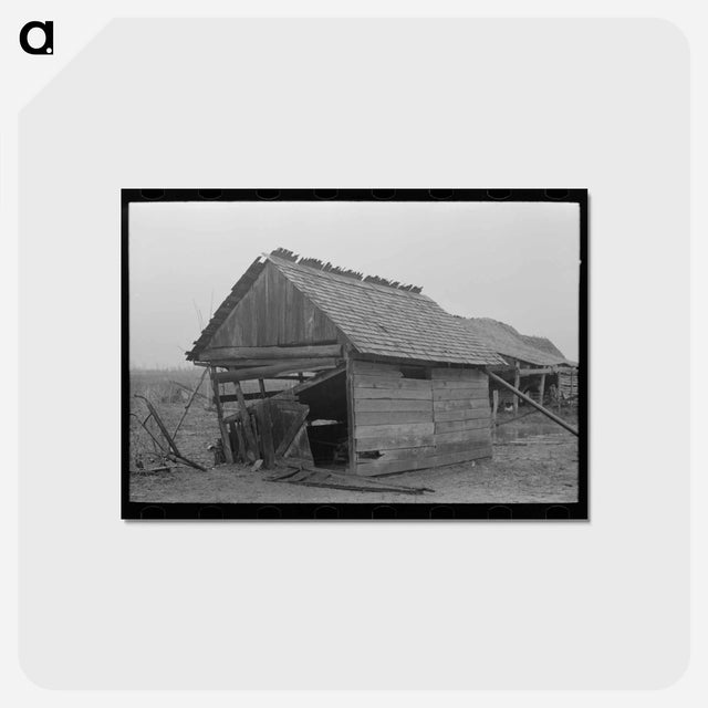 アートポストカード-Barn of Sharecropper
 - ラッセル リー Postcard.