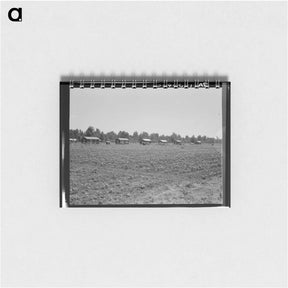 アートメモ帳-Delta cooperative farm cabins and cotton - ドロテア ラング Memo.