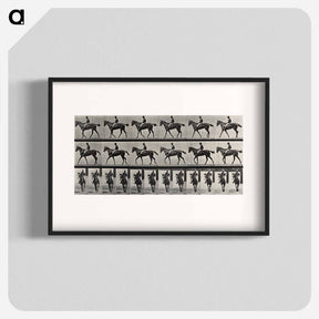 アートポスター-Jockey on Horse
 - エドワード マイブリッジ Poster.