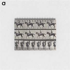 アートメモ帳-Jockey on Horse
 - エドワード マイブリッジ Memo.