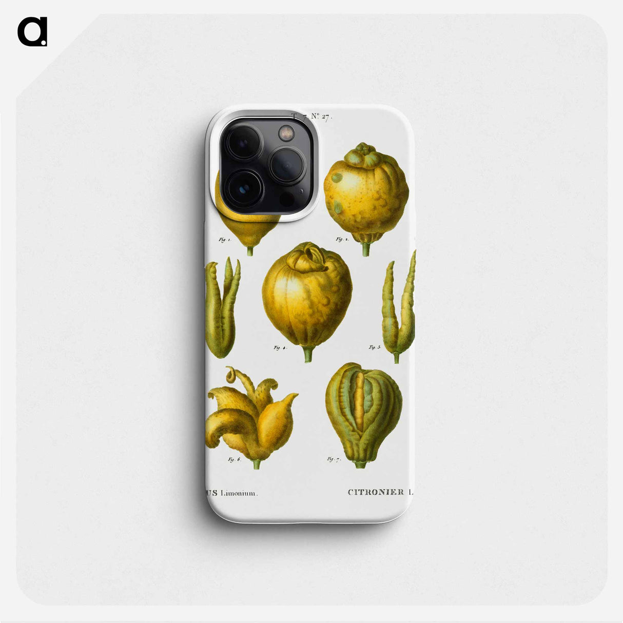 Lemon, Citrus limonium - ピエール ジョゼフ ルドゥーテ Phone Case.