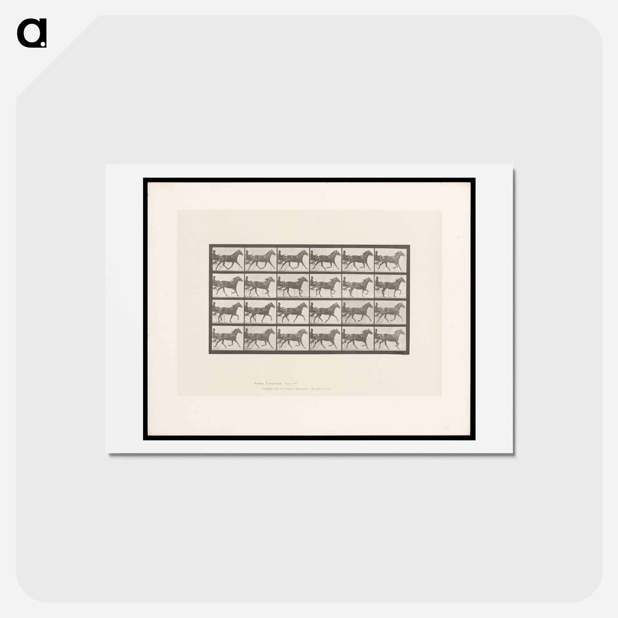 アートポストカード-Sulky Driver
 - エドワード マイブリッジ Postcard.