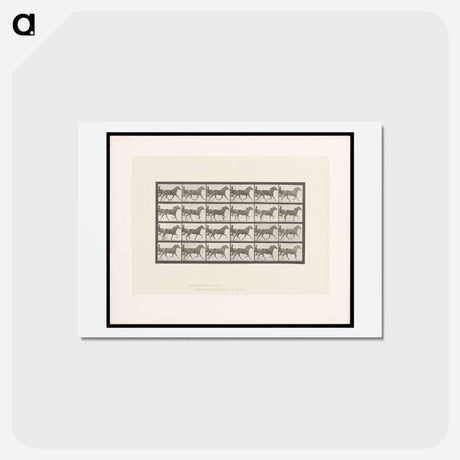 アートポストカード-Sulky Driver
 - エドワード マイブリッジ Postcard.