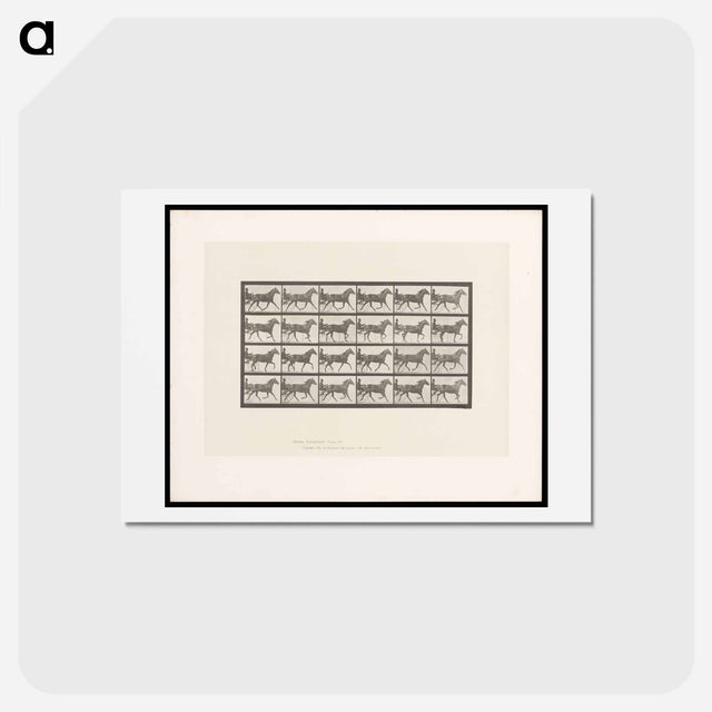 アートポストカード-Sulky Driver
 - エドワード マイブリッジ Postcard.