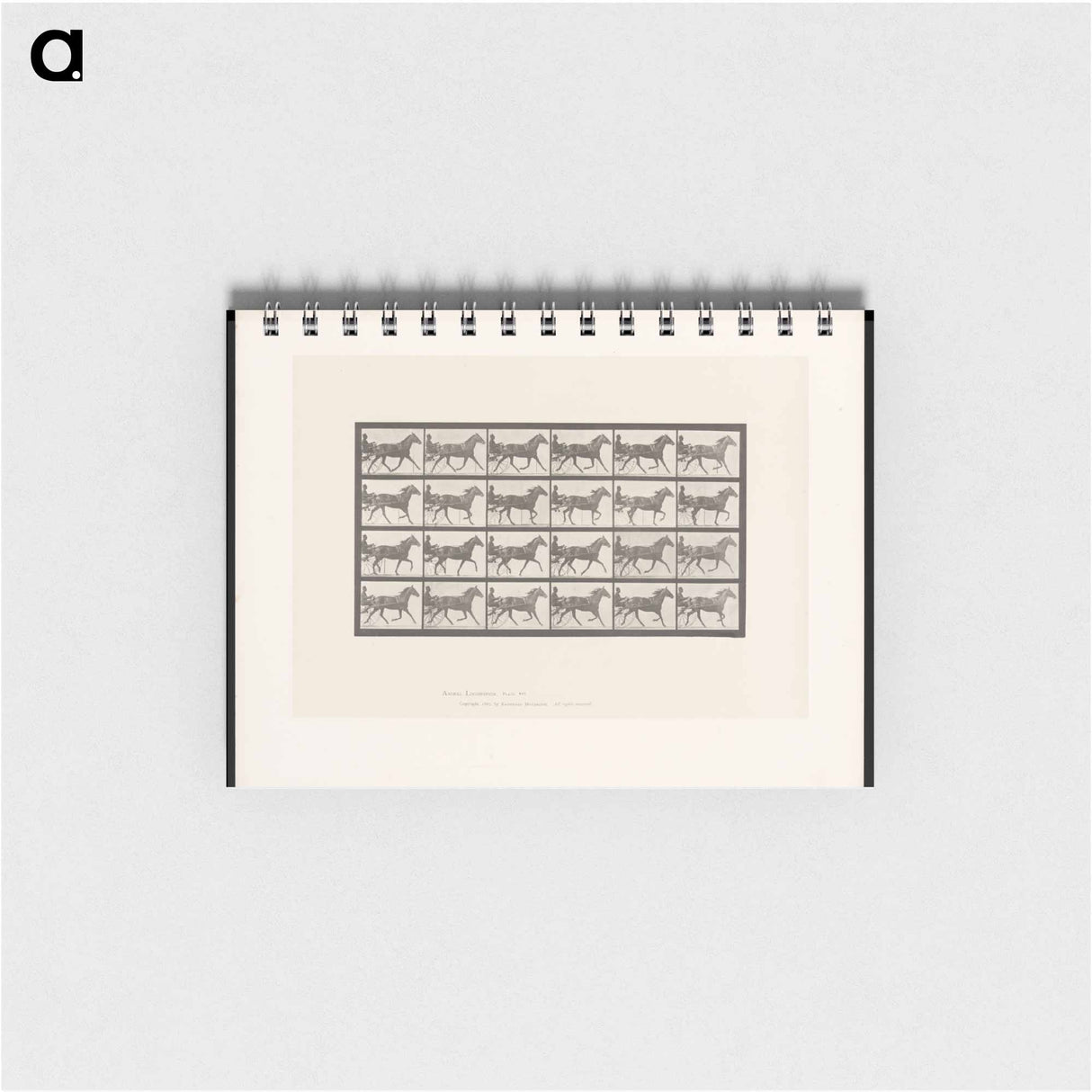 アートメモ帳-Sulky Driver
 - エドワード マイブリッジ Memo.