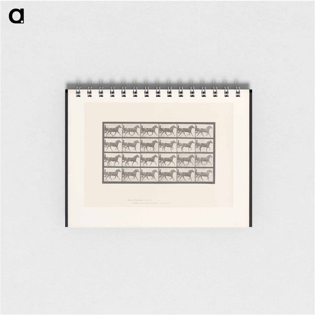 アートメモ帳-Sulky Driver
 - エドワード マイブリッジ Memo.