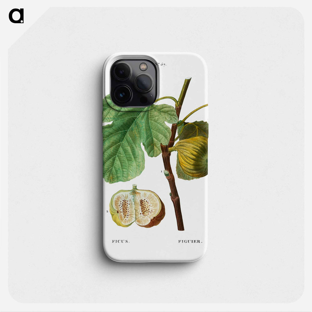 Fig (Ficus) - ピエール ジョゼフ ルドゥーテ Phone Case.