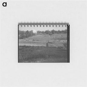 アートメモ帳-Erosion near Lawrenceville, Georgia - ドロテア ラング Memo.