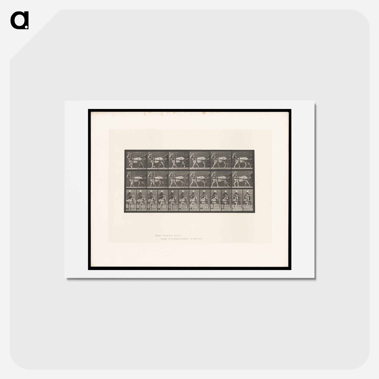 アートポストカード-Goat Cart
 - エドワード マイブリッジ Postcard.