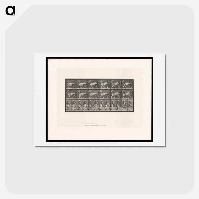 アートポストカード-Goat Cart
 - エドワード マイブリッジ Postcard.